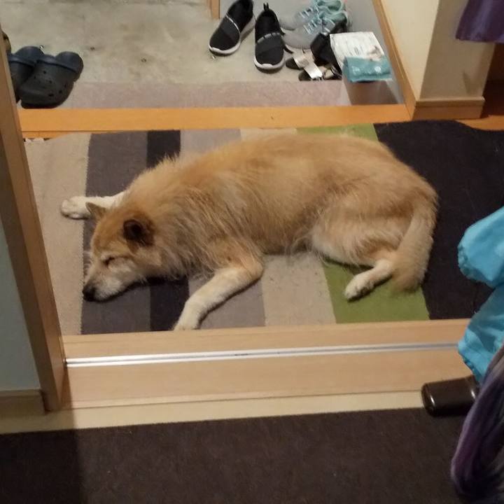 Dddc91a9 c587 44de 8f89 d6433b0f92b0 1588863208651