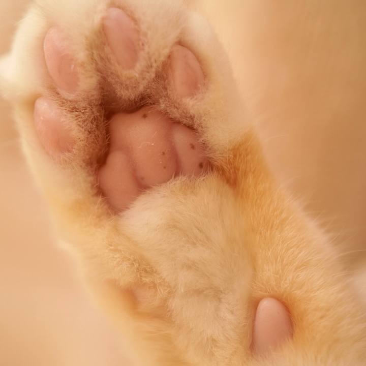 Dddca7c5 5607 40b9 8799 a5ef9727b9e0 1770071649692