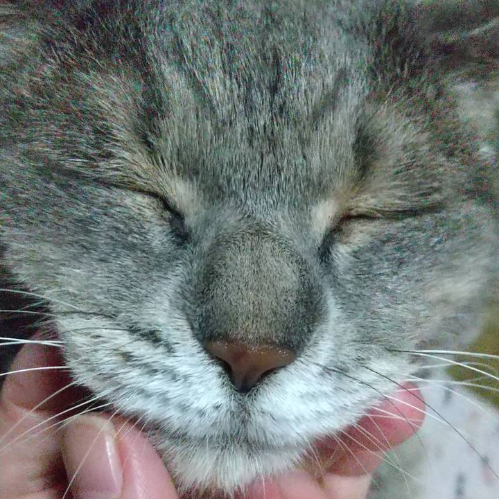 Dddccff3 72c5 469d a294 f7b0cbbc258d 1629811103024