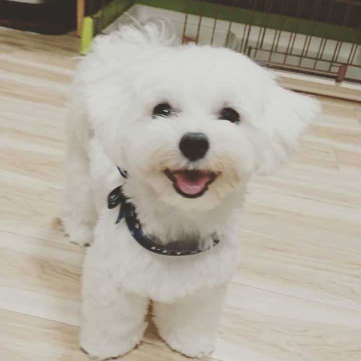 Dddcd3de 47af 42c5 8ffc d3c613027d22 1599440644164