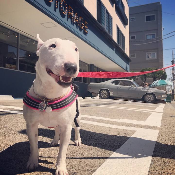 Dddd3a37 5944 44a1 96d1 afdeca5528fc 1527219462196