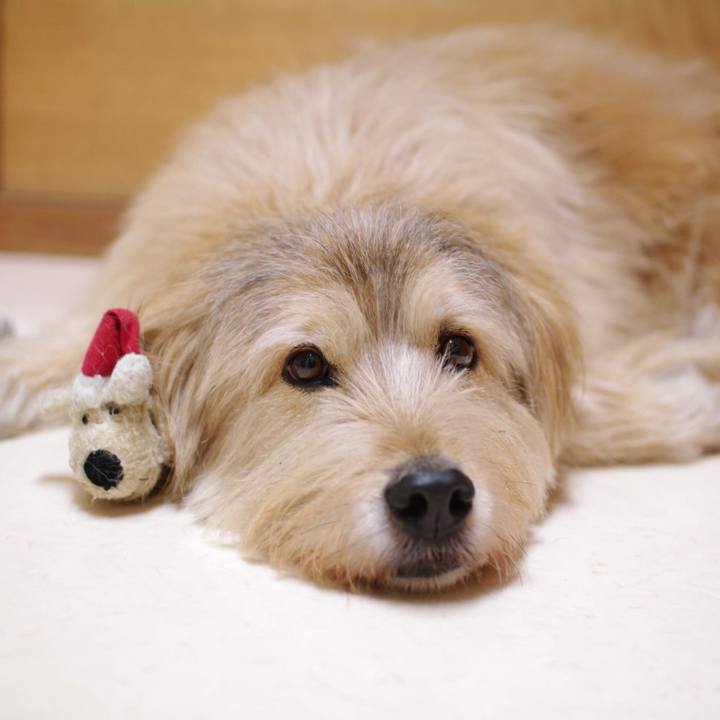 Dddd868a 9919 404f 9e84 ae8037f42b68 1548583587992