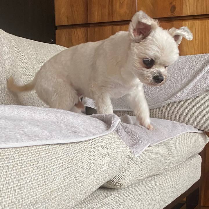 Dddd8749 1c3c 450a bb3b b51e92e7905d 1752497878094