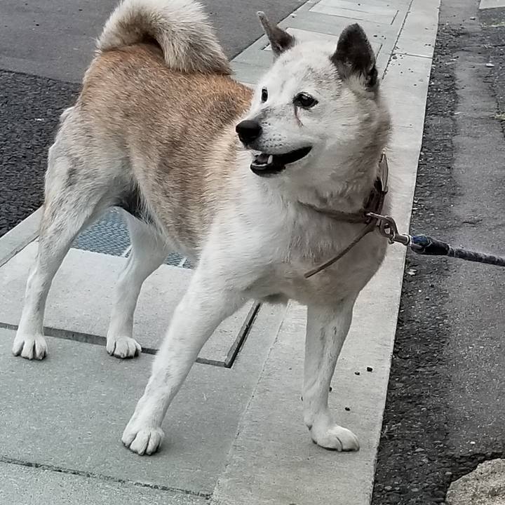 Dddd97f2 b4a1 4097 bf31 4971f0869db1 1652303887451