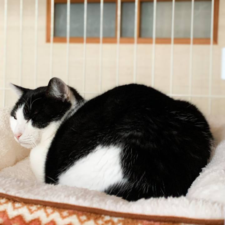 Dddda670 83f2 4811 bdce c5bcc21df624 1576461299338