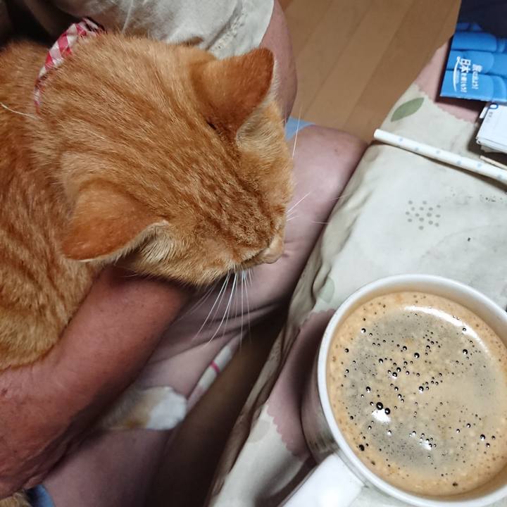 Ddddb5be 355f 4b0a 957d 44f846cd1e6b 1599508307160