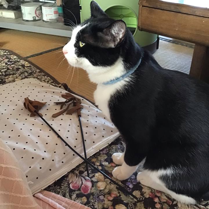 Ddddbfec e47f 4113 9db1 4f41d4d81f04 1683863786082