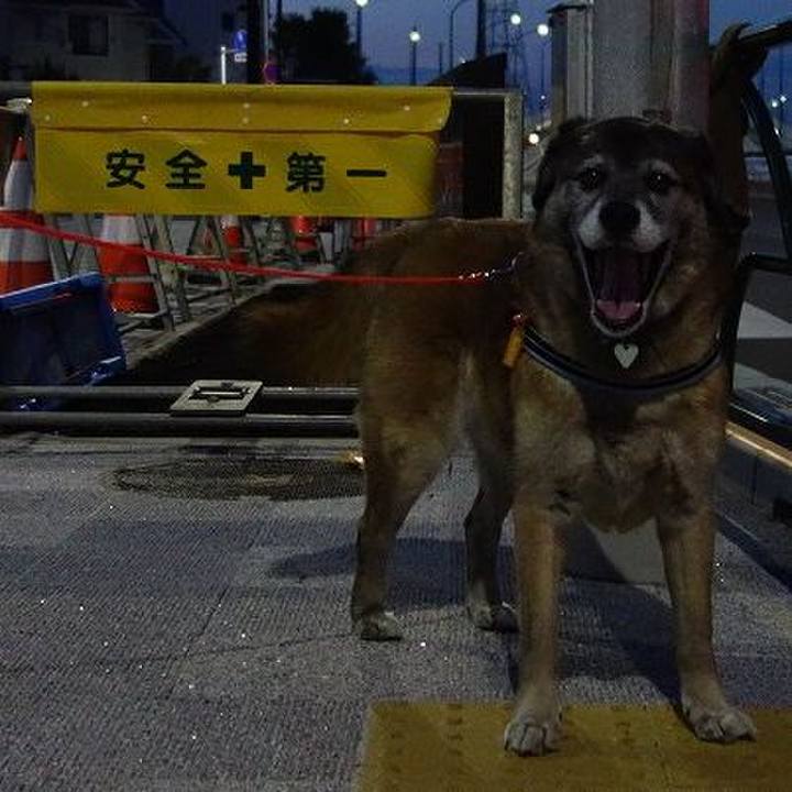 Ddddcaec c490 4dbf bb2c 441409b77613 1524057970985