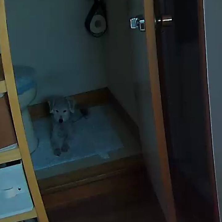 Ddddf97c db03 4a8f a813 042ebabfd44a 1591609427034