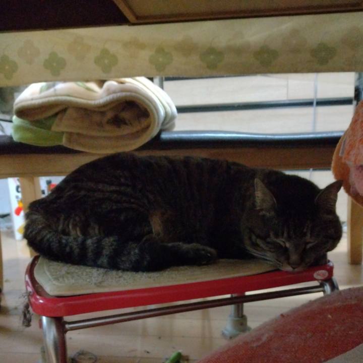 Ddddfa40 9d6e 458e b944 ec4e043f5661 1712187815136