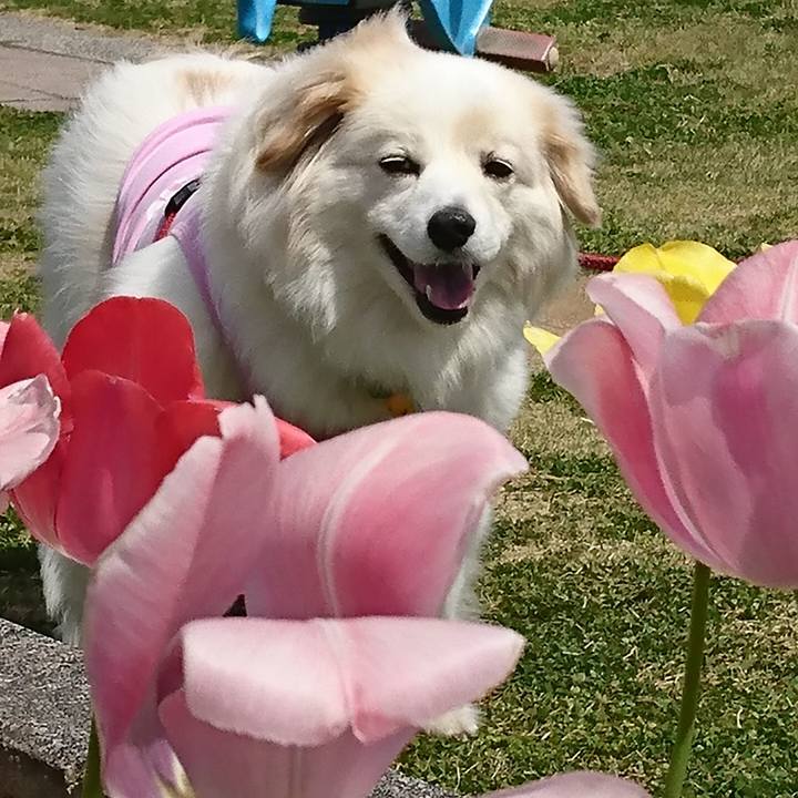 Ddde7e2d 0913 4789 a1c6 f876084e902c 1524021424906