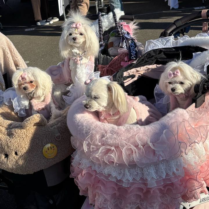 Ddde804f 9dfb 4406 8138 9d7884022d09 1765010278131