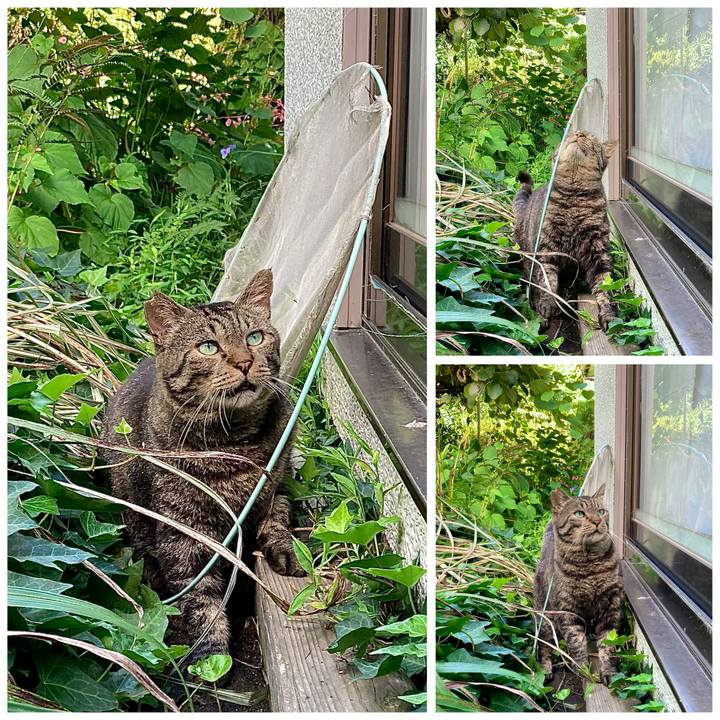 Ddde8911 6985 41aa a6eb 47d0b74e1f0e 1661043649879