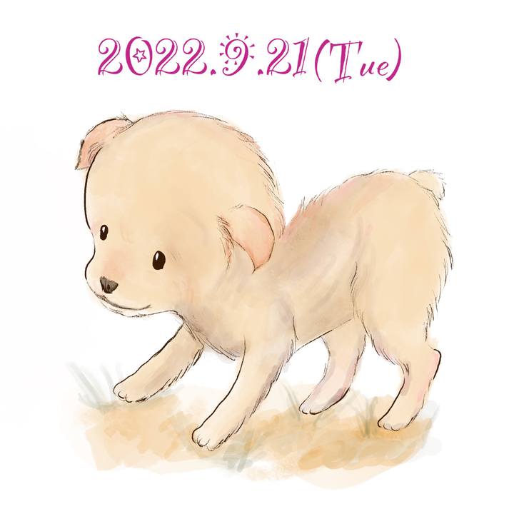 Ddde9880 38ff 4222 8ae1 887e84262110 1663761797211
