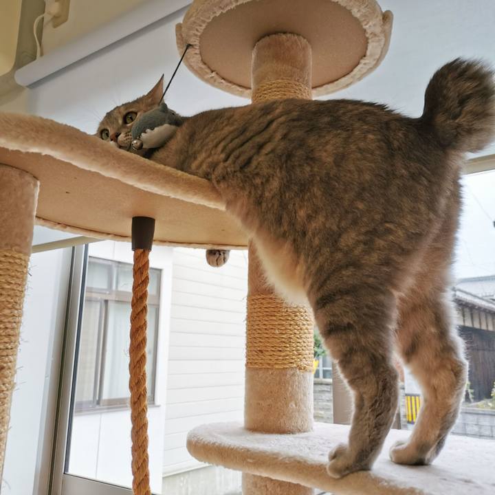 Ddde990f dbe5 477b 8d41 328dea7ca16c 1621239701926