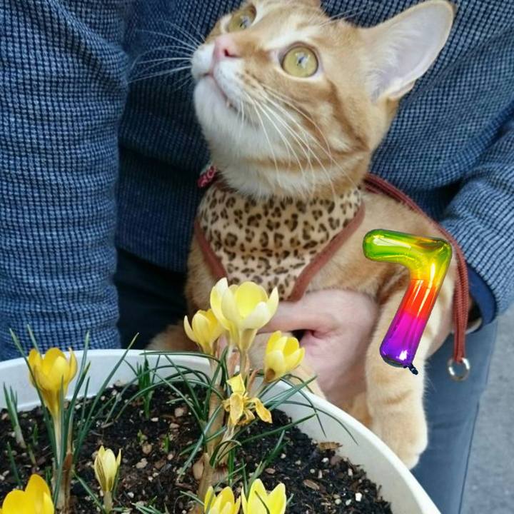 Dddecec5 d9b1 41a6 88df 2086a584f172 1686485542496