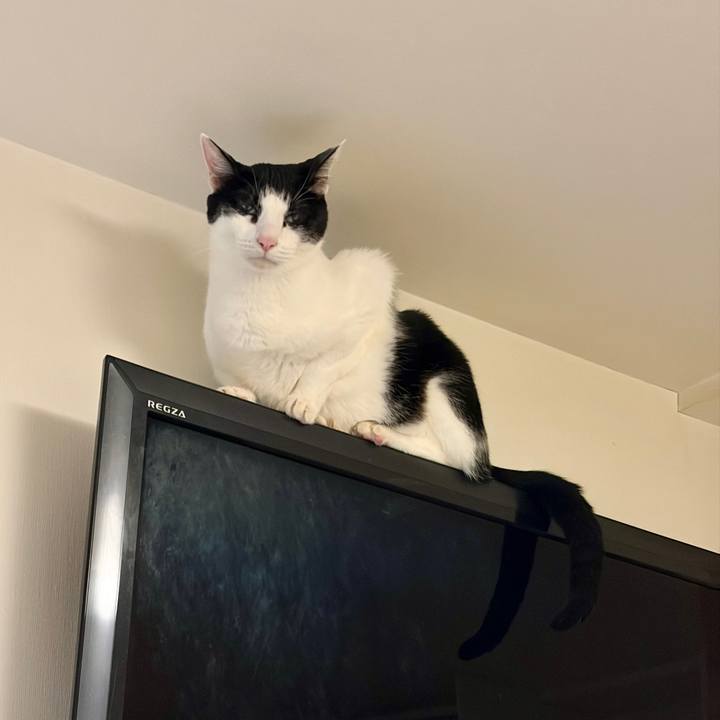 Dddee7e8 1dc1 4b01 afd8 994bd645db2e 1766499827058