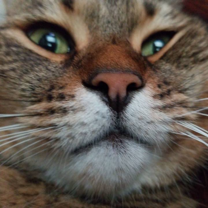 Dddefb09 d5e9 44e3 9c78 7805ce190988 1568842583361