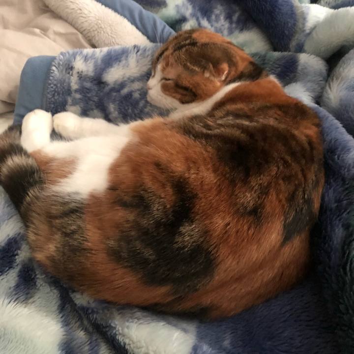 Dddf1f64 56bd 44ef 9652 2ddf9fe4ce7b 1541196485444