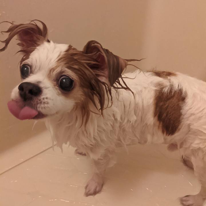 Dddf8430 4854 4bf0 909f 31e8743f64a9 1622379269145