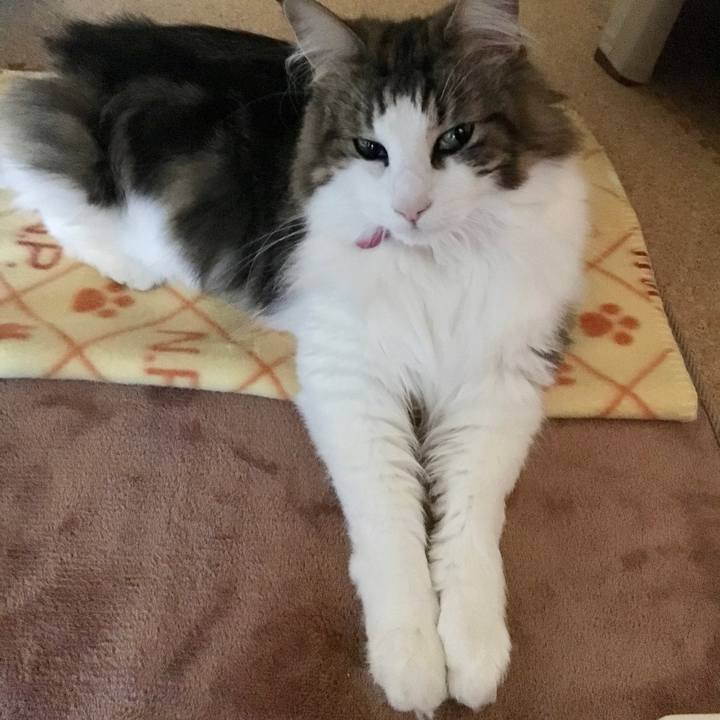 Dddfbe26 80b8 4961 9cdc 679555ee0ce1 1511338534170