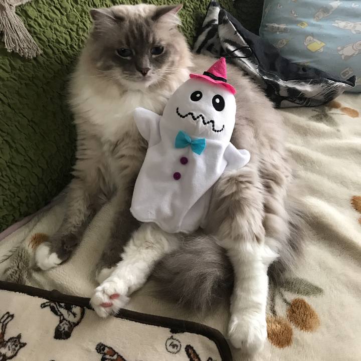 Dde03d1c 9511 451e 95a5 1ad375c32f92 1508916125676