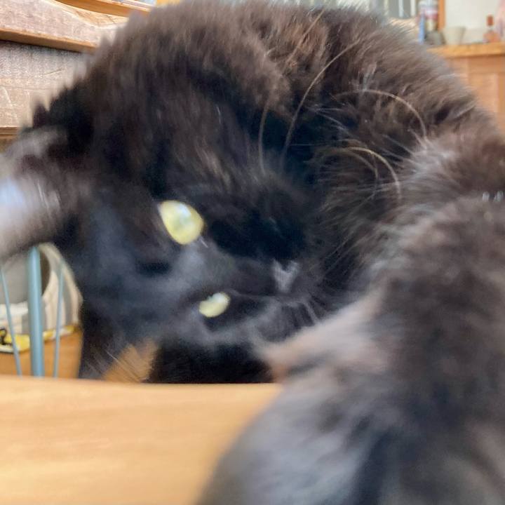 Dde07b79 7093 4b4b a3ad e0d136d119b0 1730874768012