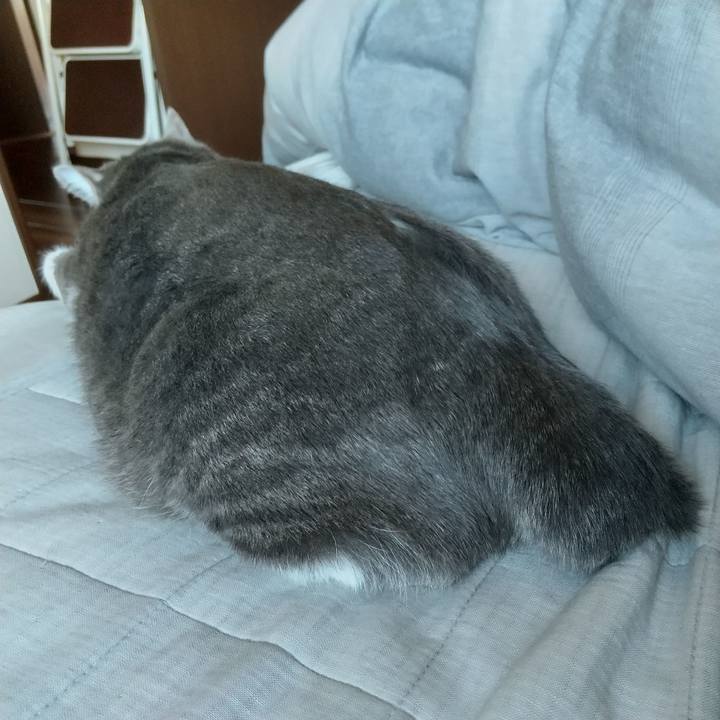 Dde0cb06 86ea 4e12 8d9b ae4495b79792 1613866297831