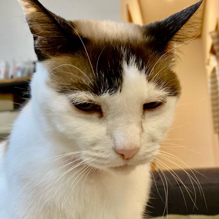 Dde0e474 b922 4d6f 8c43 5a3daff969a8 1649381015528