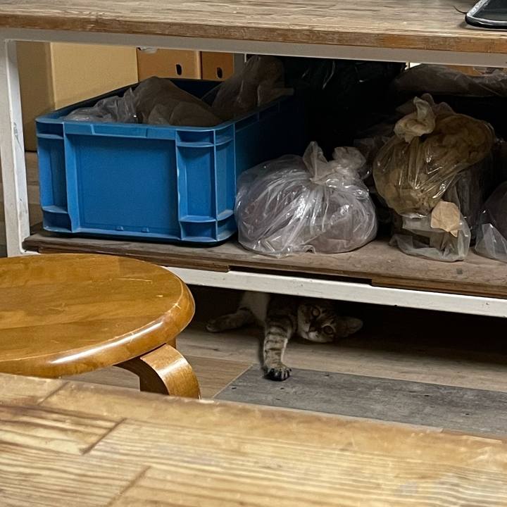 Dde10177 533c 48ab a3e1 cb91962ff1c1 1689221798440