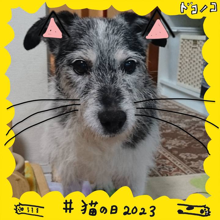 Dde116d9 da91 43e6 afd4 e4bd1b3ed58d 1677058721669