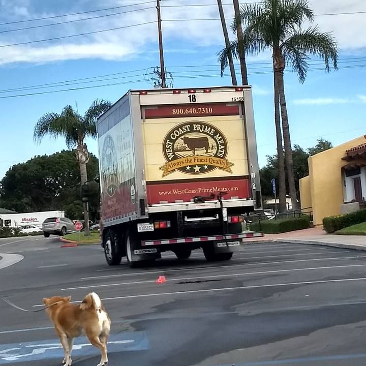 Dde11b75 7603 4700 b125 a4d7309fc935 1510198574555