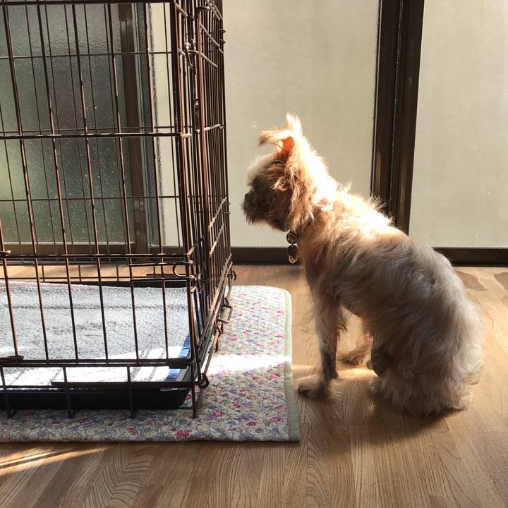 Dde1af69 c18d 4bdc 9f83 037edda7f6ef 1541637906570