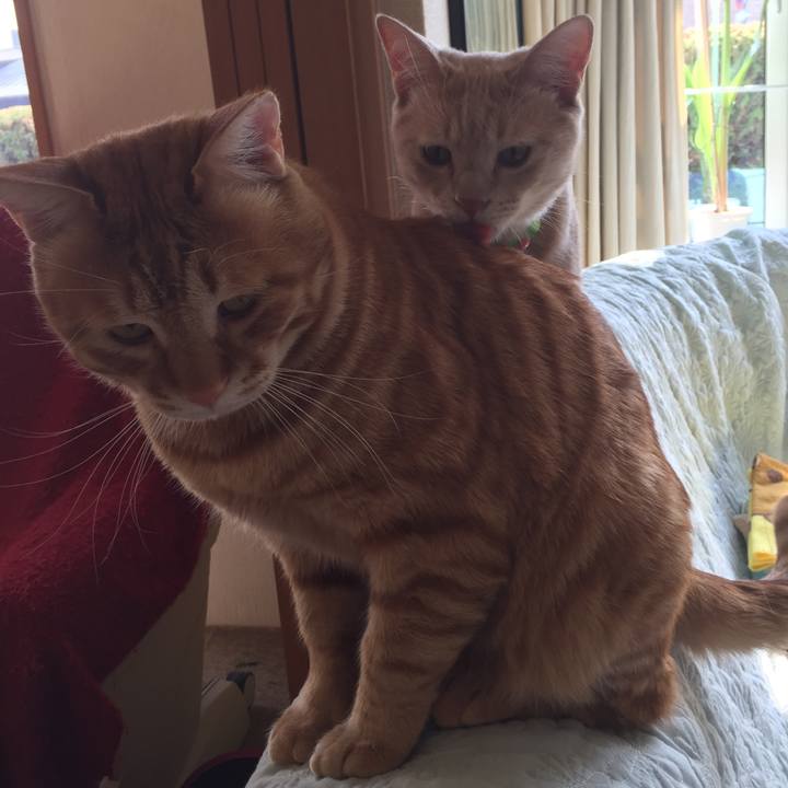 Dde1f61a e172 483c 8870 f445780ec79b 1556192875838