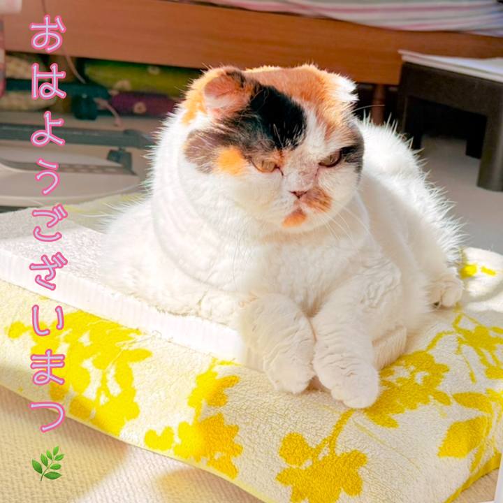 Dde2043d 97cf 43b7 8700 c046430442c2 1759191501716