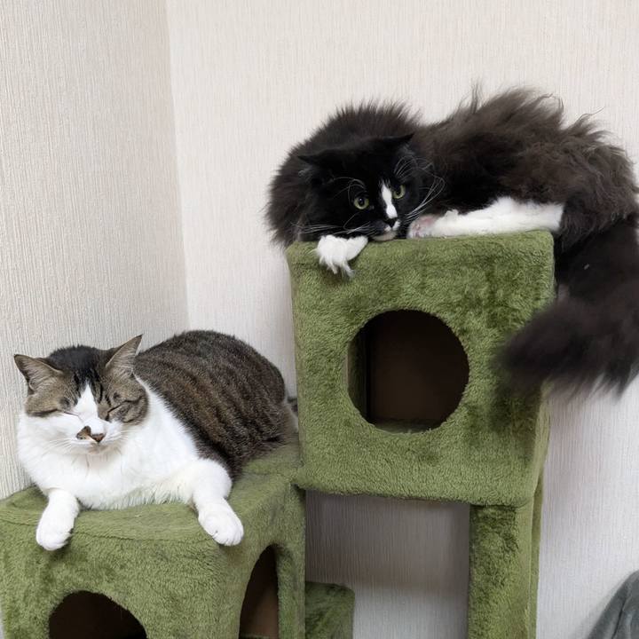 Dde21e27 1afe 44c1 a2d8 67cb96220654 1740647189978