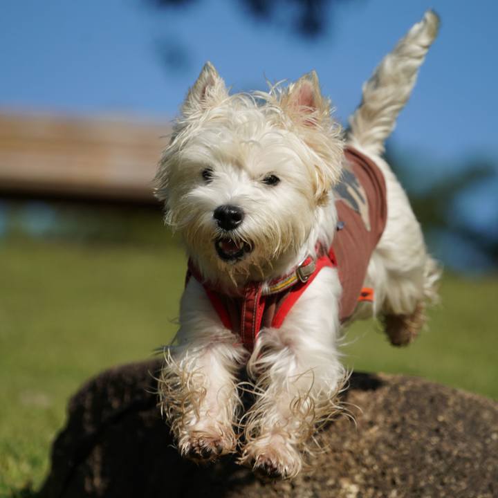 Dde2368f 5c2a 42da 885f 1164081a76eb 1538561078541