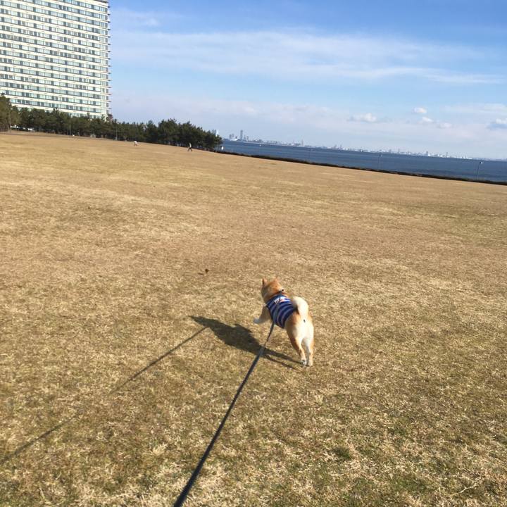 Dde2425b 7529 4e5d 804a 056576069166 1548490551925