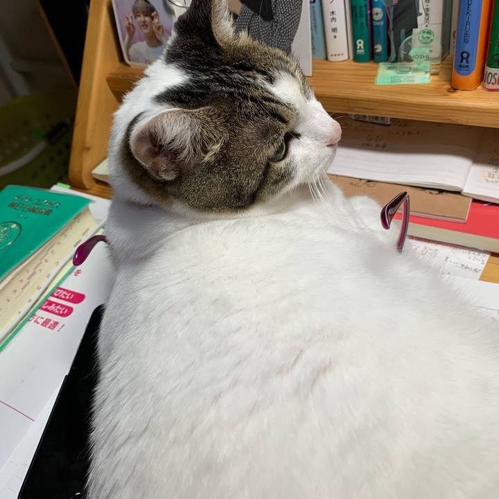 Dde26ddd aa8d 4c12 8648 679a66654752 1598011943047