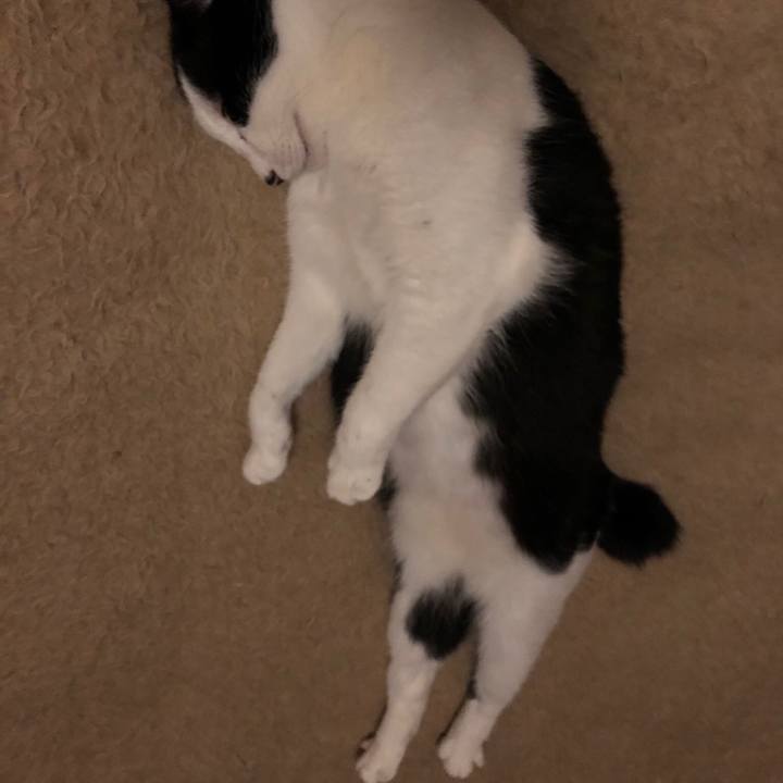 Dde28334 1ea9 47f8 b5fc 3fffcce3e72e 1546201140675