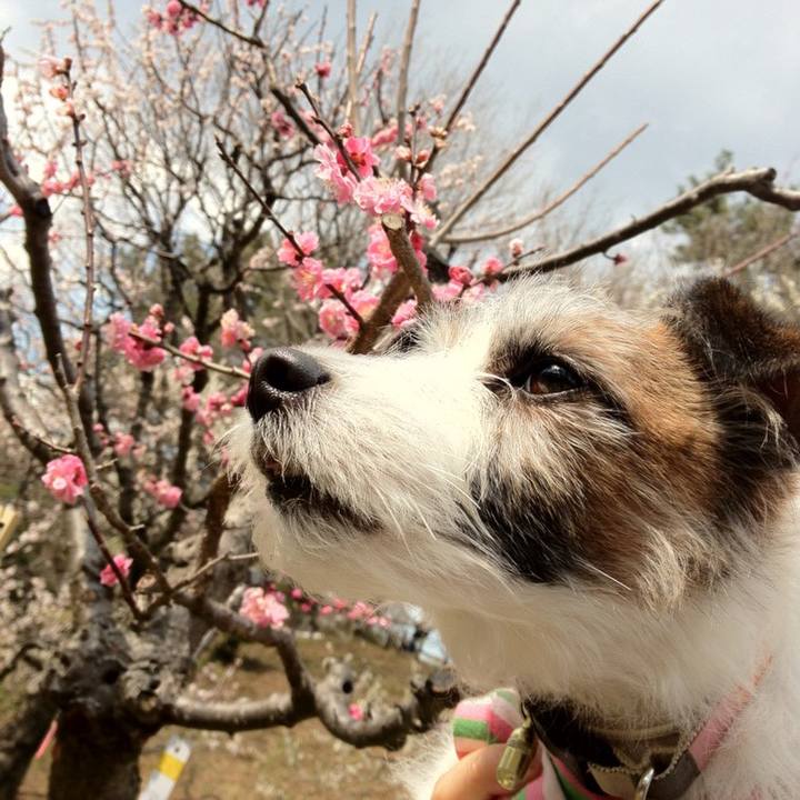 Dde2bb37 179a 4ed6 ab50 b787d5872983 1585142468575