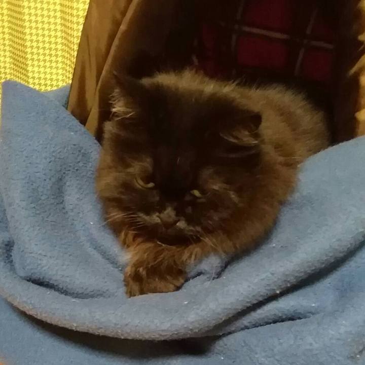 Dde2f4eb e72c 4a8e b872 de0b44614964 1512815829061