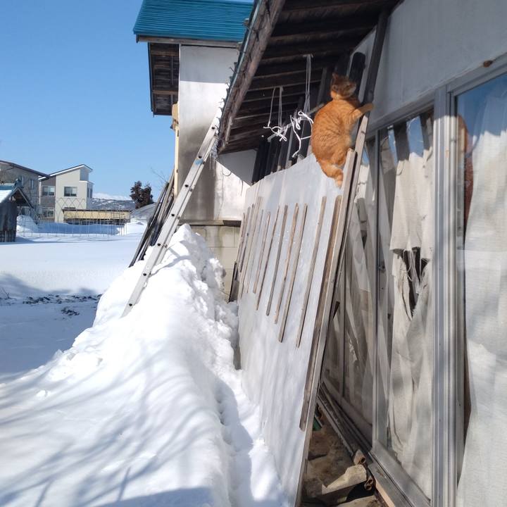 Dde2fea4 caf0 401e b9b2 15036ab4388a 1677455985554