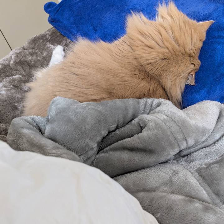 Dde3378f 0c0e 44f5 b7aa ec3893104c6f 1736777683467