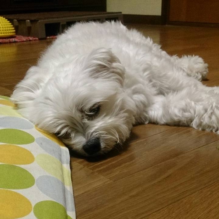 Dde354b0 38c1 4db5 89e2 898fb47f1ab6 1526479007233