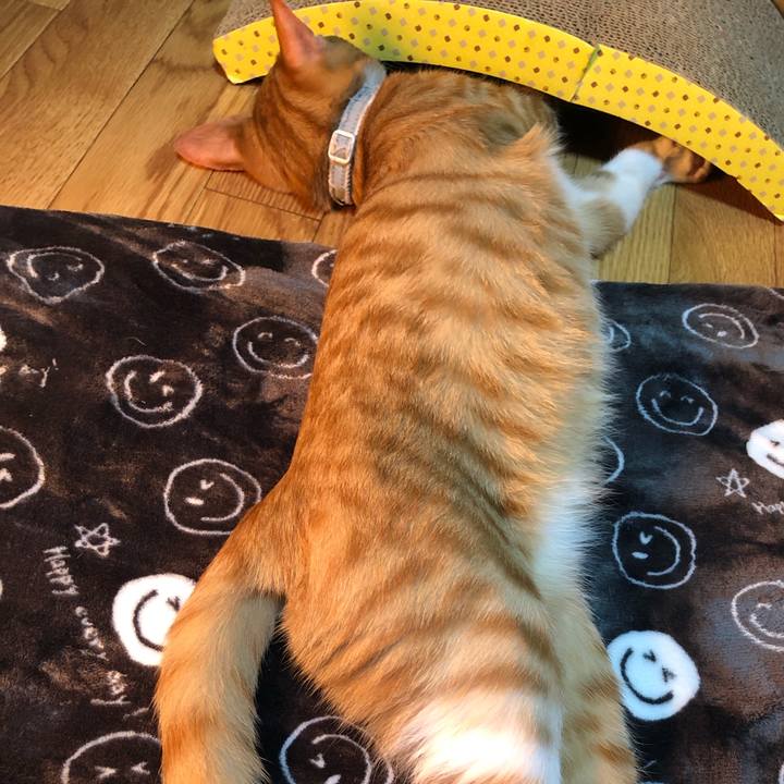 Dde41402 2f9a 45db b33c f9dc2a181a81 1548576792385