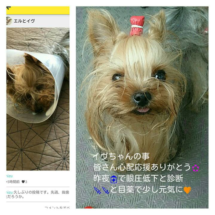 Dde4c4a6 9804 4b0a b6dd de3dd5034842 1536720929667