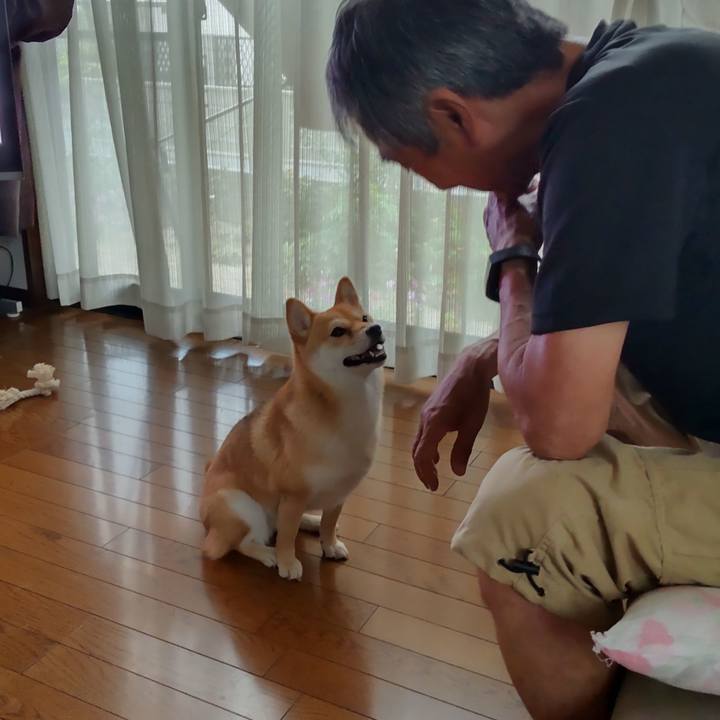 Dde52cea 48c8 4282 b2cd 47d332dedaa0 1656837880408