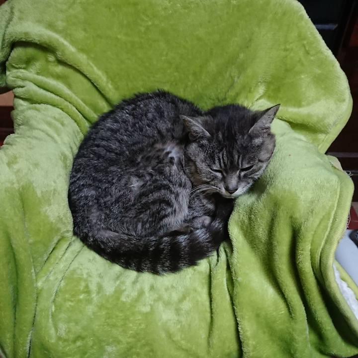 Dde53189 dc4f 4926 9bb4 97e77f07a04f 1582886784968