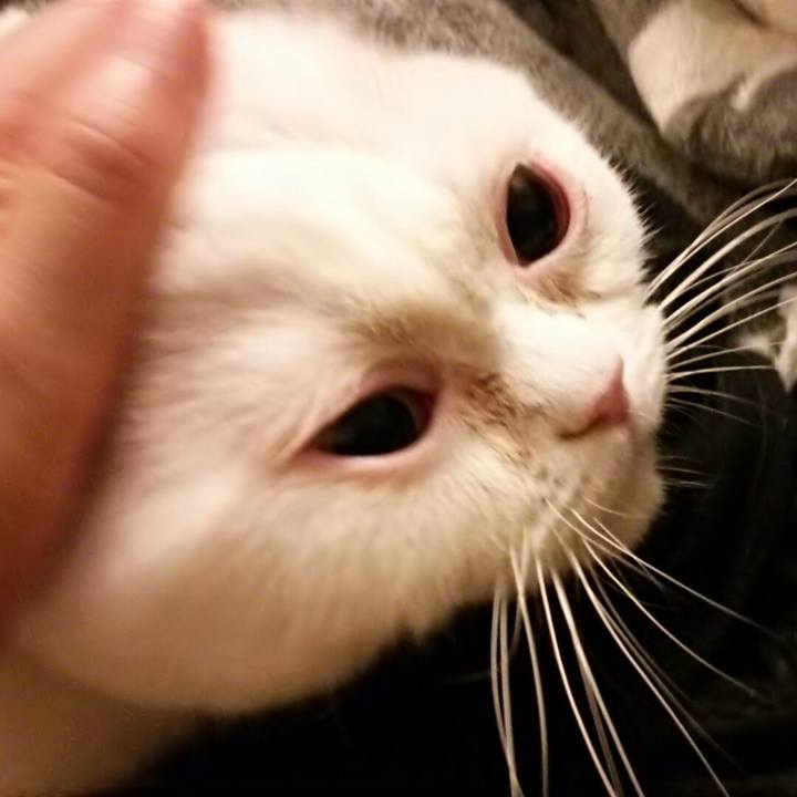 Dde55163 079d 41eb ab9a 9e580450d705 1524050364336